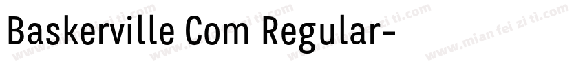 Baskerville Com Regular字体转换
